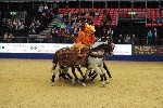 Quadrille - 00024